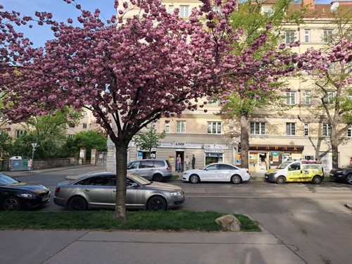 Bild zu Newsbeitrag 🔒 Sicher leben mit modernem Einbruchschutz in Wien!